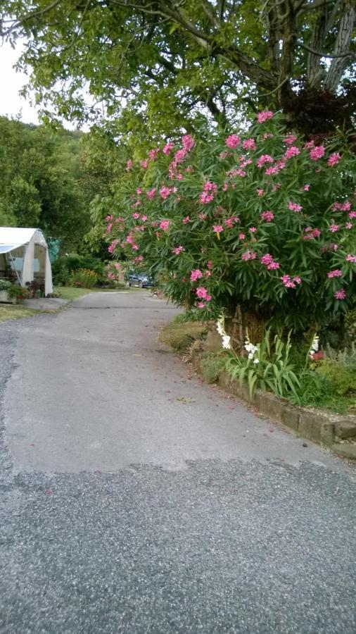 Sot La Mont Bed and Breakfast Cividale del Friuli Exteriör bild